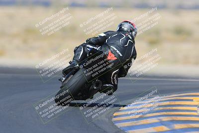 media/May-13-2023-SoCal Trackdays (Sat) [[8a473a8fd1]]/Turn 11 Backside (945am)/